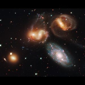 Meet your Posher, Janaya